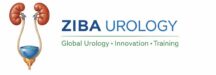 logo officiel zibaurology1